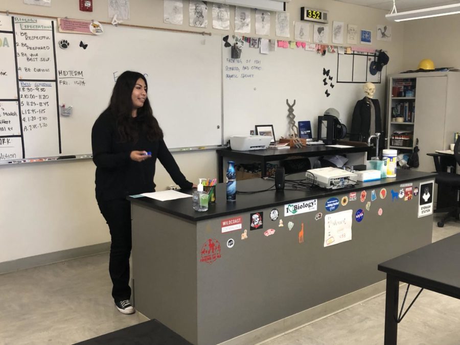 Ms. Juarez teaches a class. 